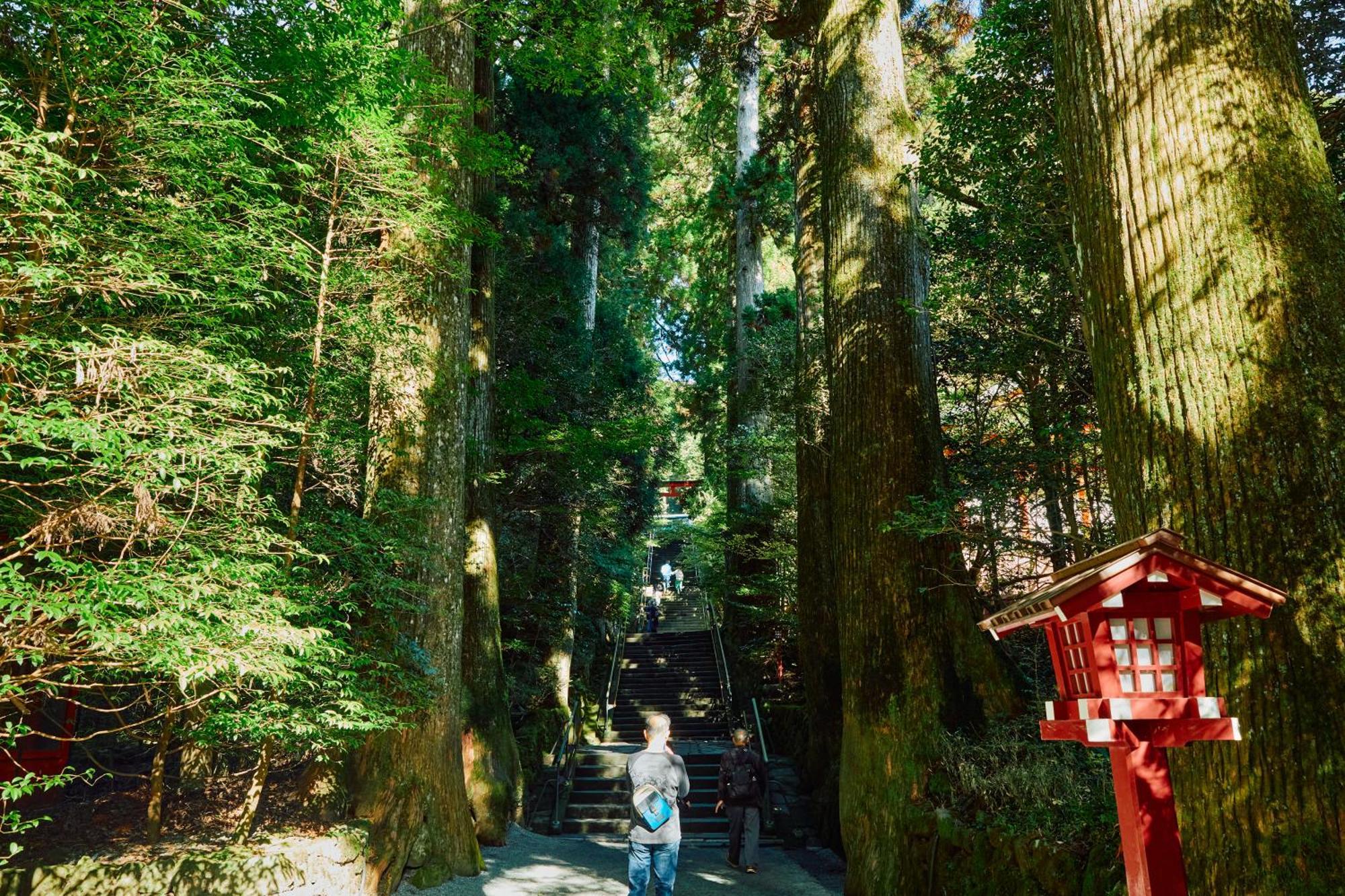 Villa Hakone Kabuto 古民家旅館 150平米 バス停迄一分 準天然温泉 最大12名 Екстер'єр фото